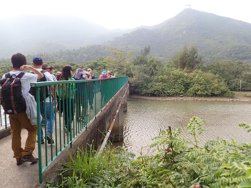 可持續大嶼辦事處在「生物多樣性節2018」中舉辦了工作坊和導賞團，透過手工藝製作及東涌河生態導賞，推廣大嶼山自然保育的重要性。